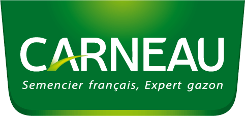 Carneau